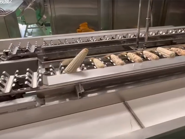 玉米切頭去尾機視頻